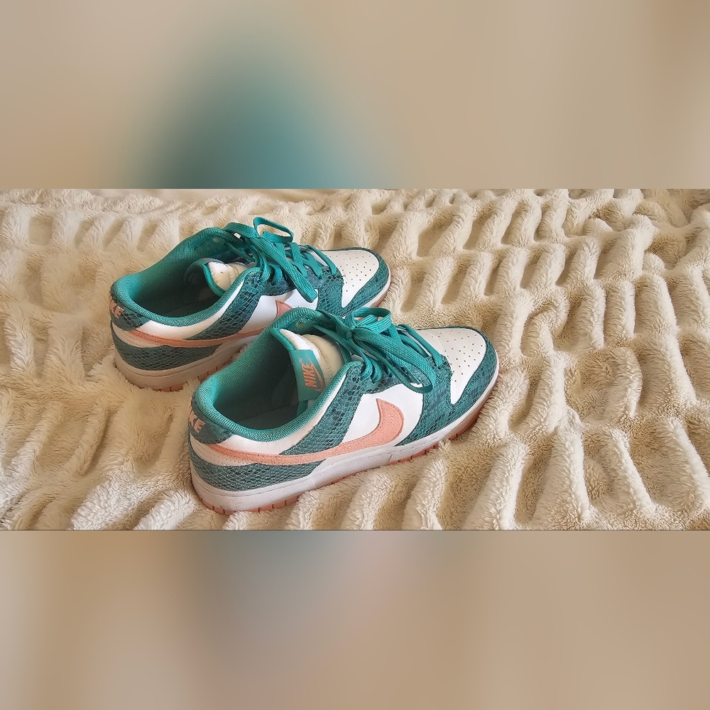 RePosh - Nike Dunks